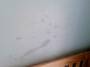 hate eczema marks on the wall